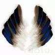Mallard Duck Wing Quills - Klassiske fjer - 5056304601936 - 2