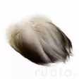 Wapsi Bronze Spey Mallard - Klassiske fjer - 053526048049 - 2