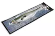 Westin Big Bob 49cm 730G - Havjigs - 17300500009 - 2