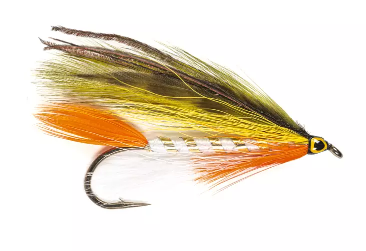Golden Shiner Streamer - Streamers og leech - 8859202536099 - 1