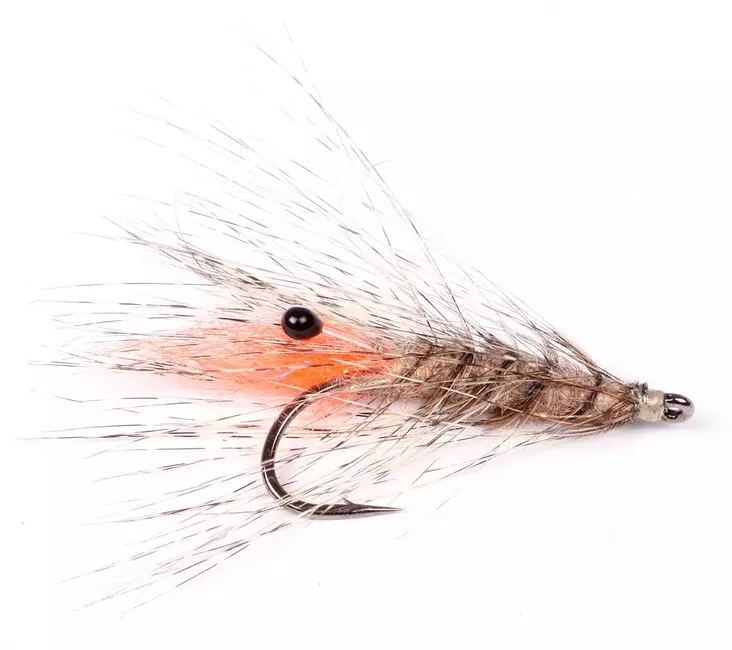 Laser Shrimp - Kræftrækjer - 7033840131439 - 2