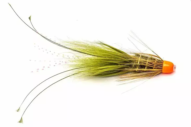 Olive Frances Fl. Orange Conehead - Rørfluer - 8859202536549 - 1