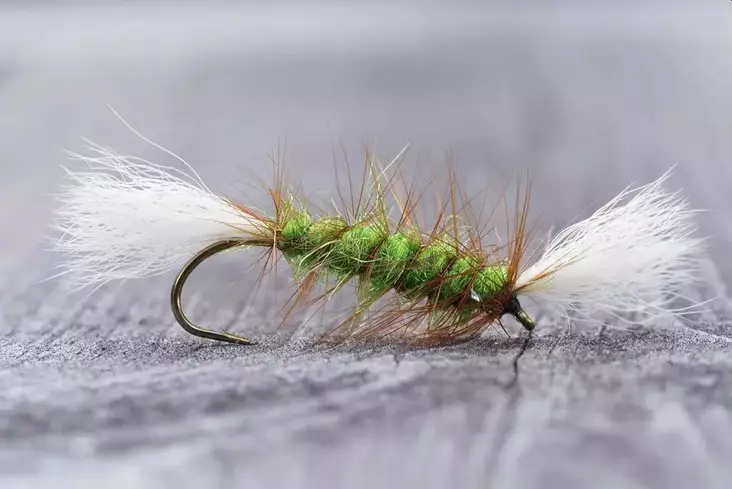 Pompero Highlander Green - Øvrige laksefluer - 8859202536259 - 1