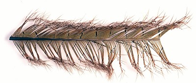 Veniard Cock Pheasant Knotted Tail - Øvrige fjer - 40450300039 - 1