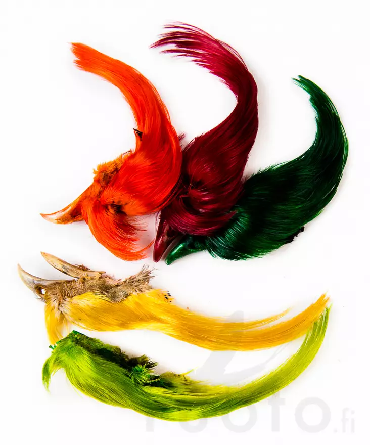 Wapsi Golden Pheasant Crest - Skind, vinger og hoved - 404001000009 - 1