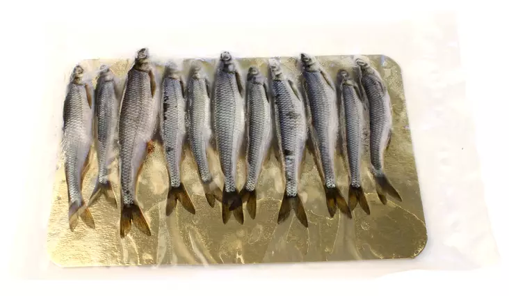 Salakka - Fødevarer - SALAKKA - 1