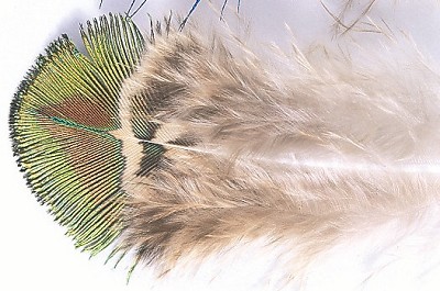 Peacock Gold Body Hackle - Øvrige fjer - PEAG - 1