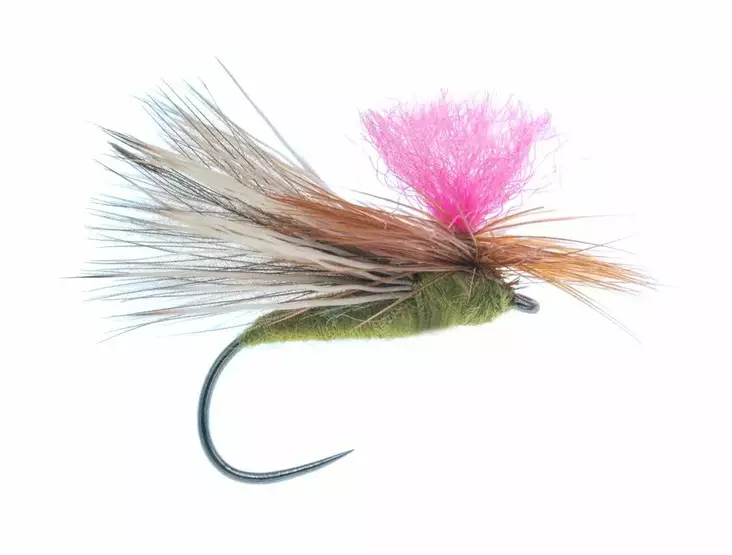 CDC Caddis Barbless Olive - Tørfluer - G1113BL-10O - 1
